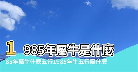 85年次屬什麼